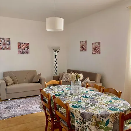 Falco * קאריני